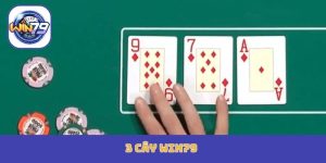 3 cây Win79
